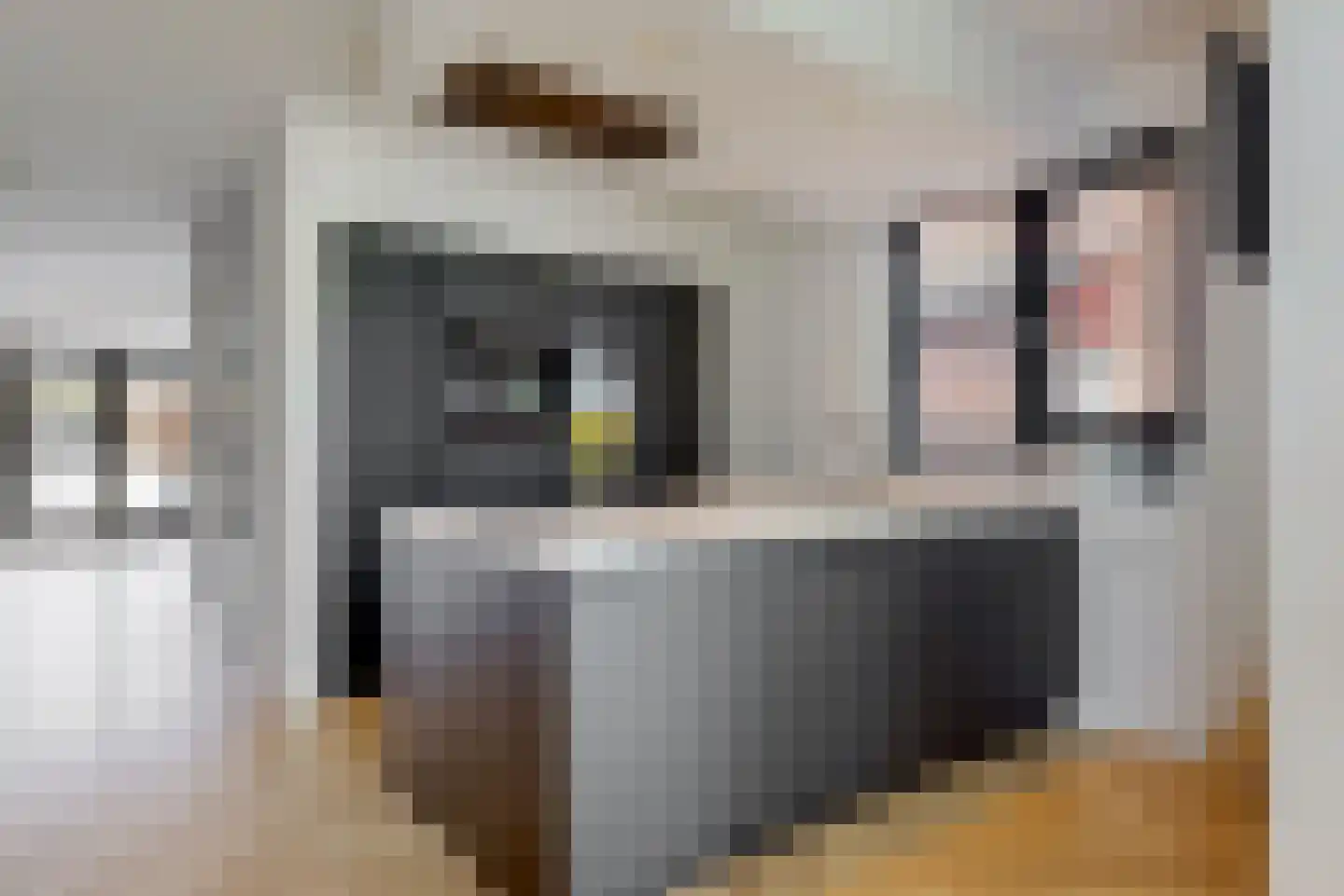 Inlaagdijk 99 Zwaag thumbnail 13