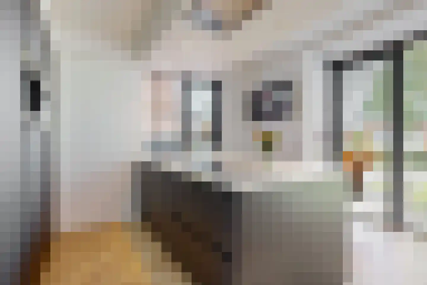 Inlaagdijk 99 Zwaag thumbnail 14