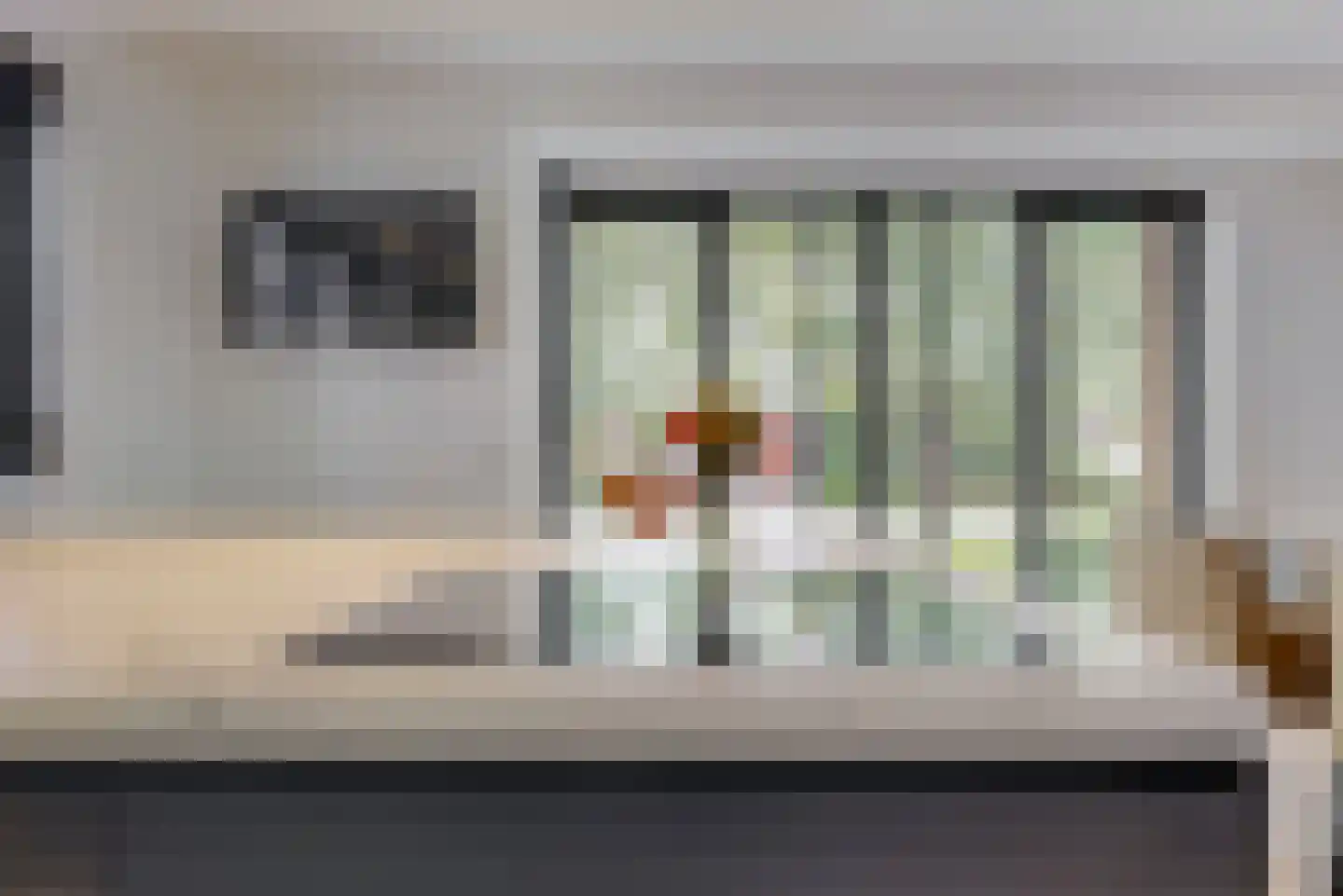 Inlaagdijk 99 Zwaag thumbnail 15