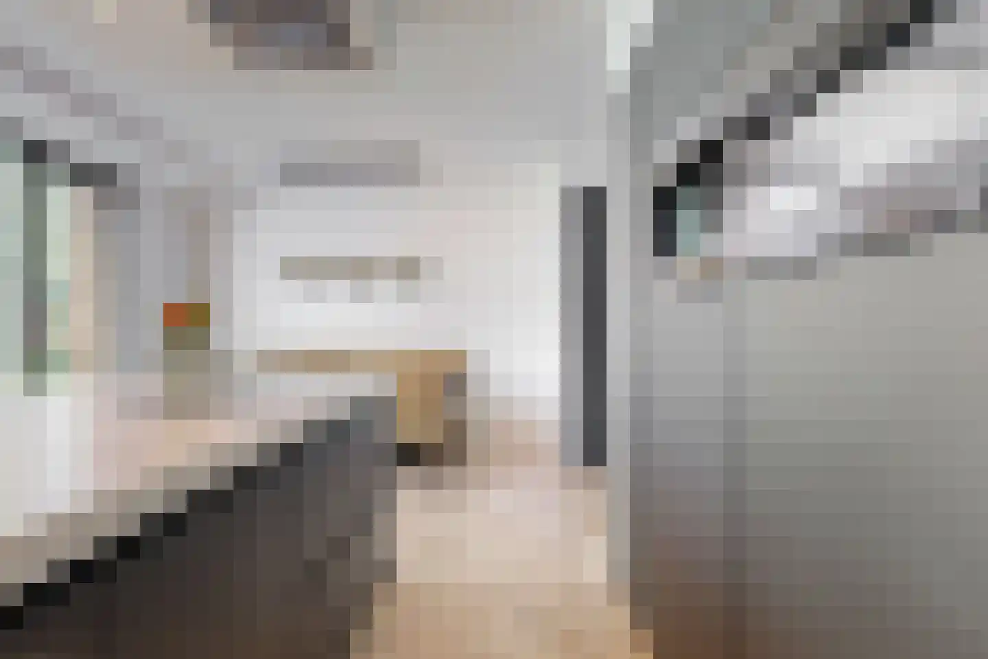 Inlaagdijk 99 Zwaag thumbnail 16