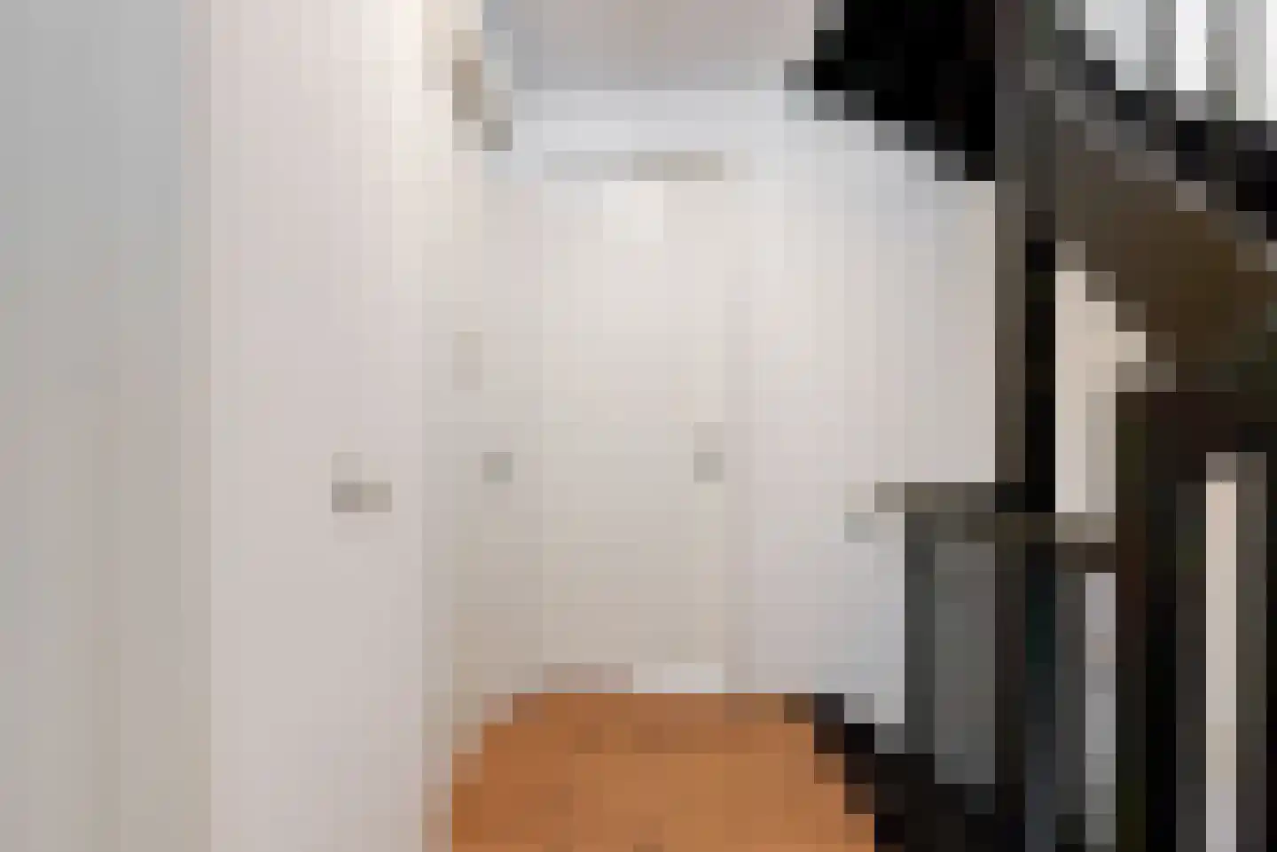 Inlaagdijk 99 Zwaag thumbnail 17