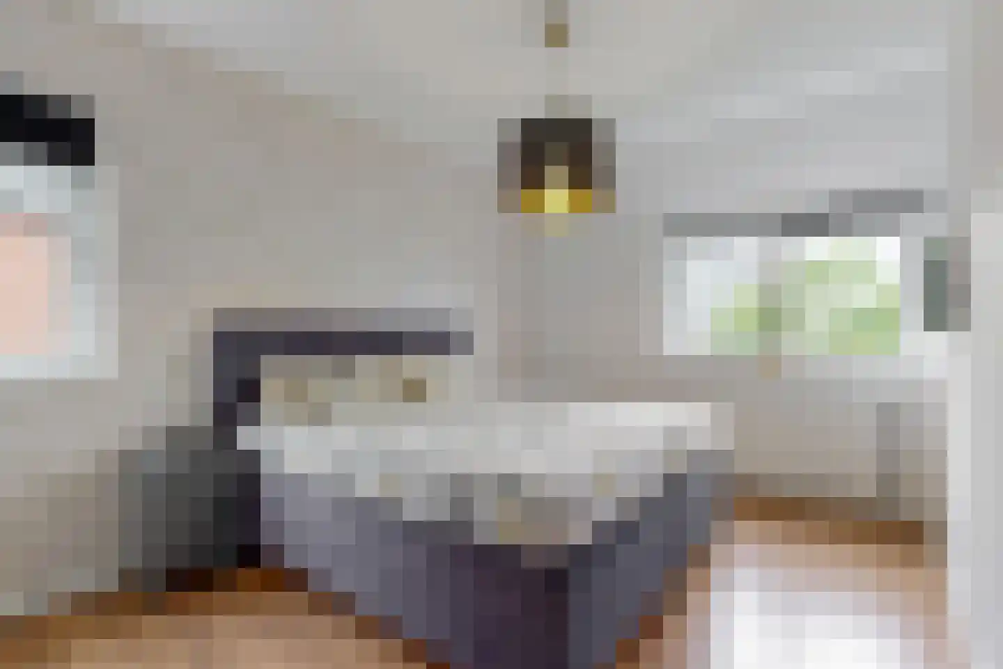 Inlaagdijk 99 Zwaag thumbnail 18