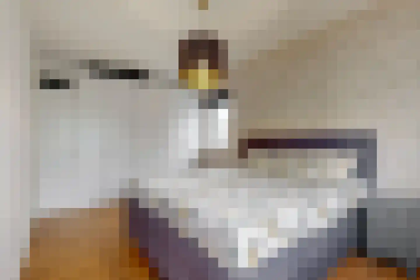 Inlaagdijk 99 Zwaag thumbnail 19