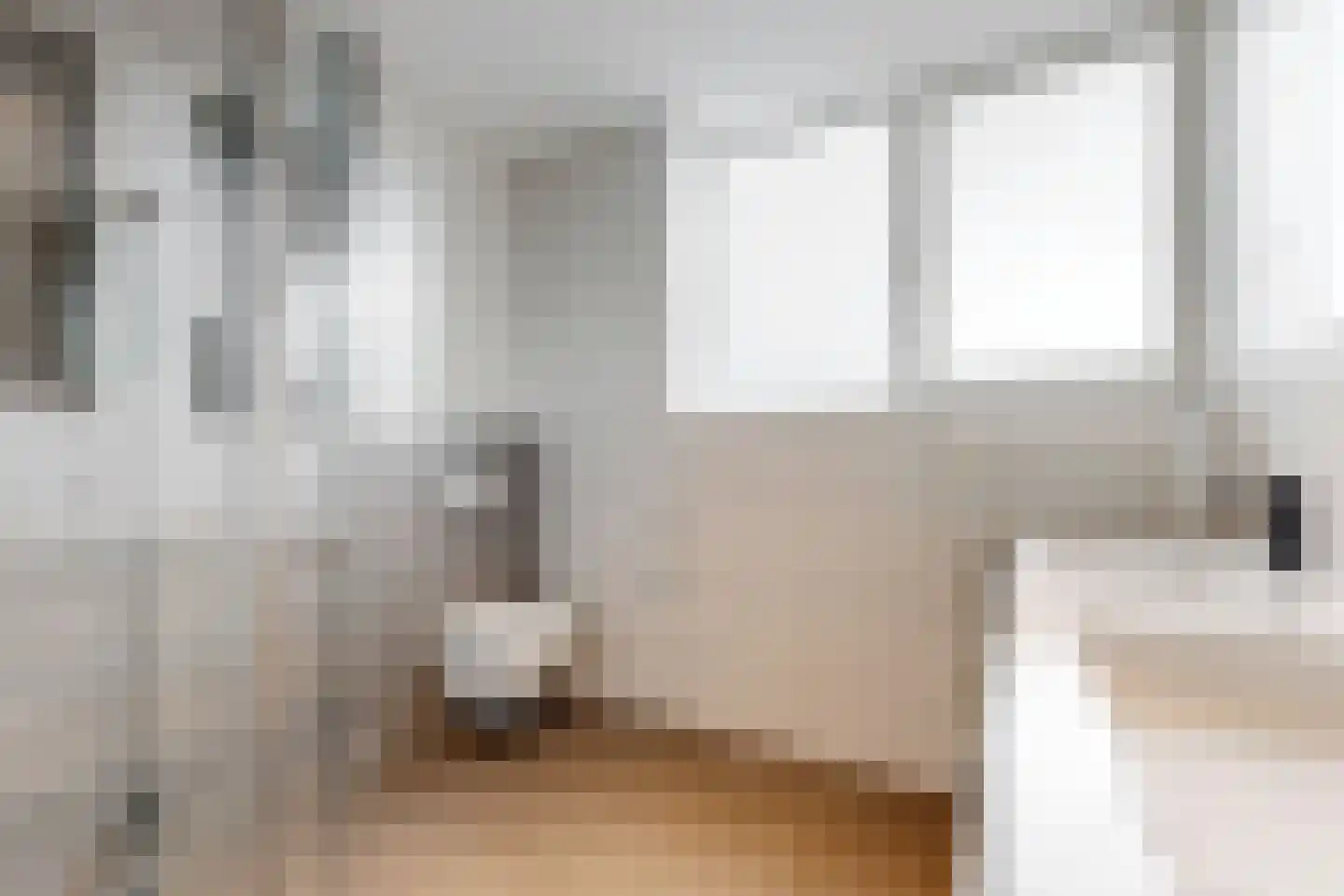 Inlaagdijk 99 Zwaag thumbnail 20