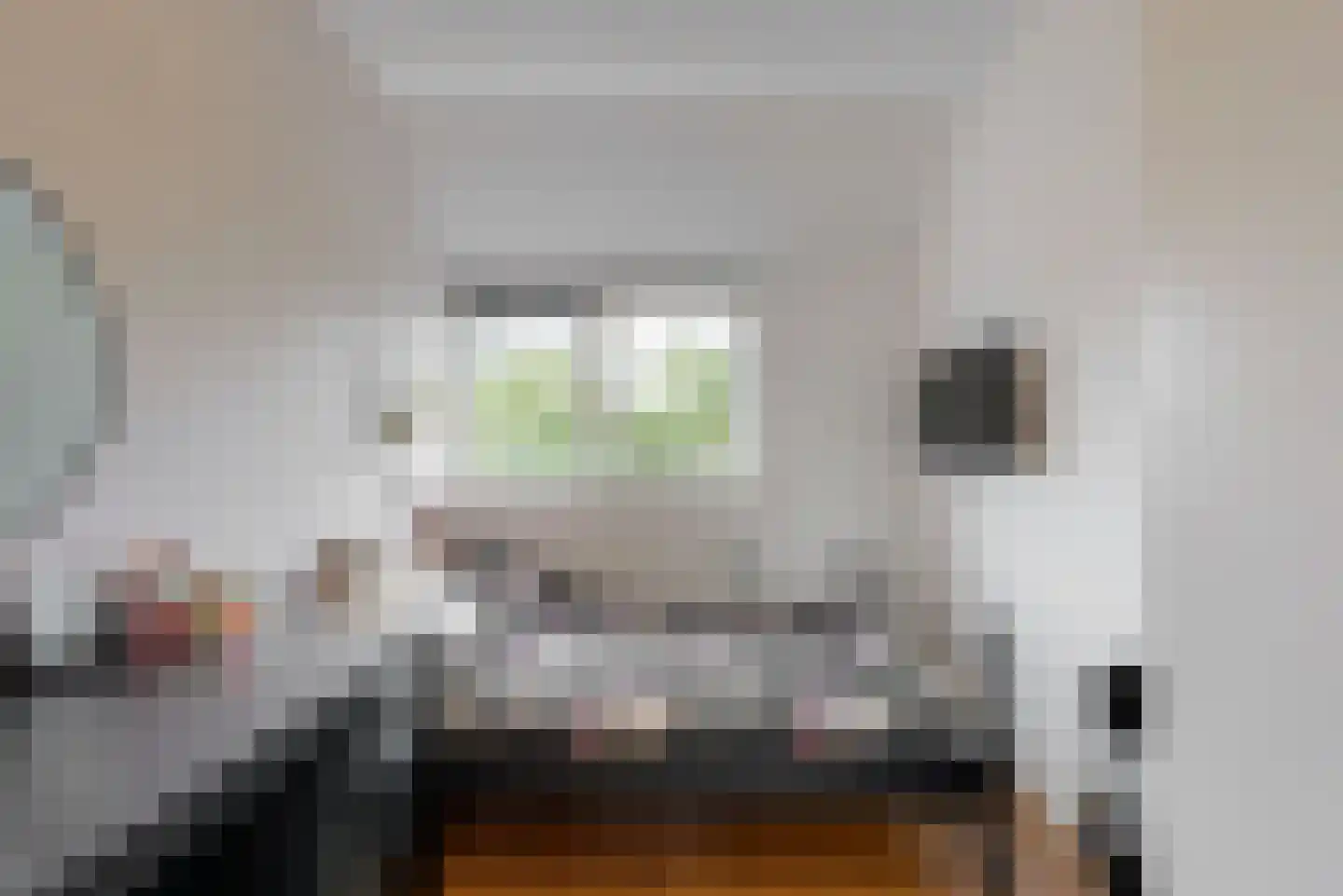 Inlaagdijk 99 Zwaag thumbnail 23