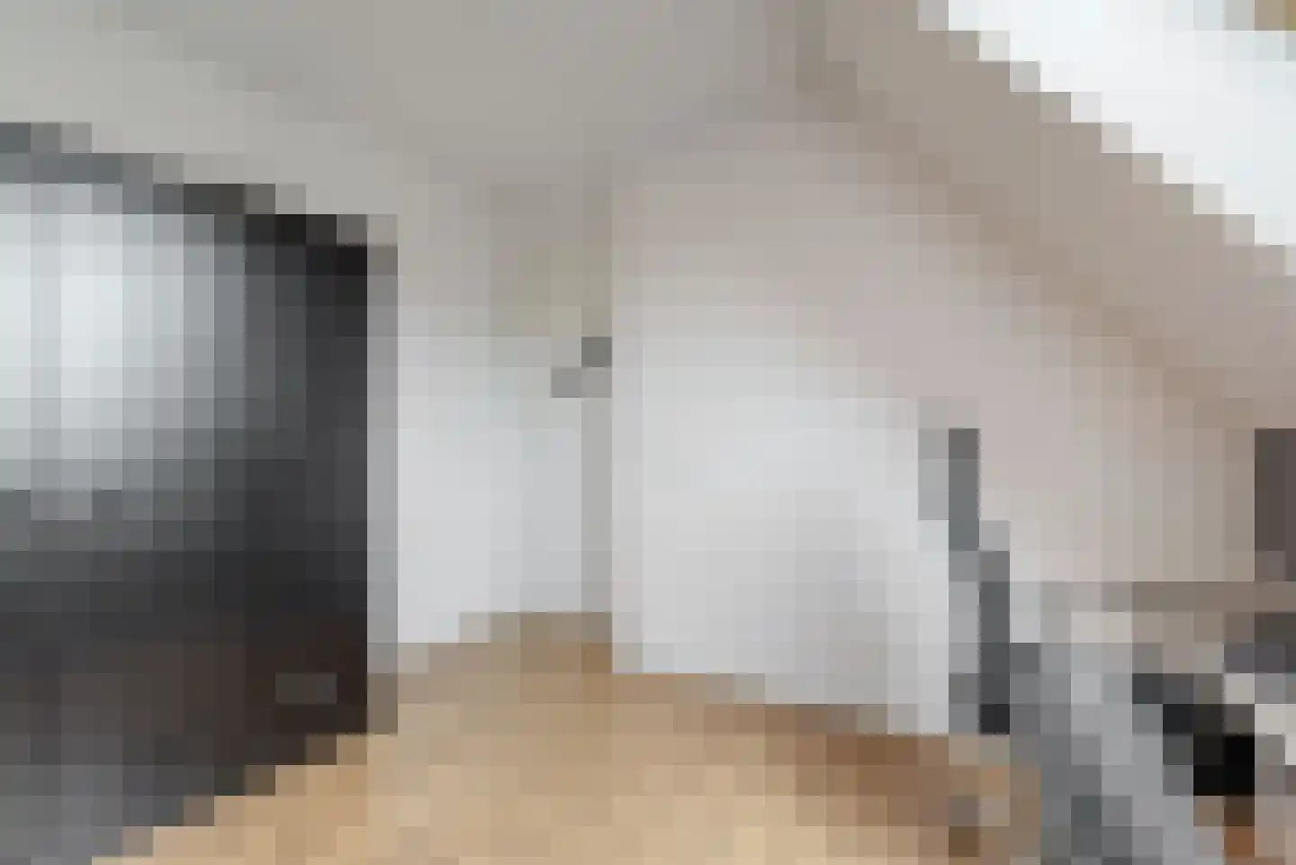 Inlaagdijk 99 Zwaag thumbnail 25