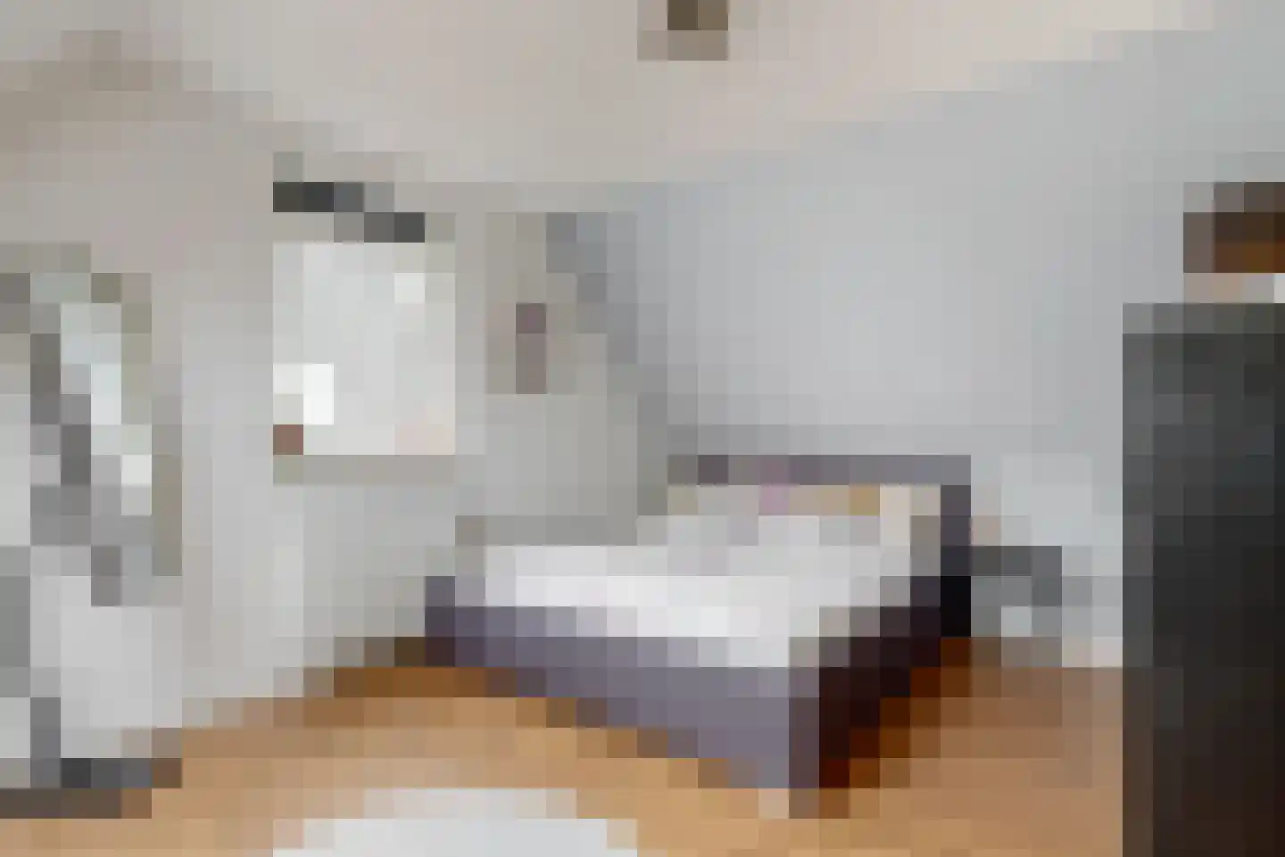 Inlaagdijk 99 Zwaag thumbnail 27