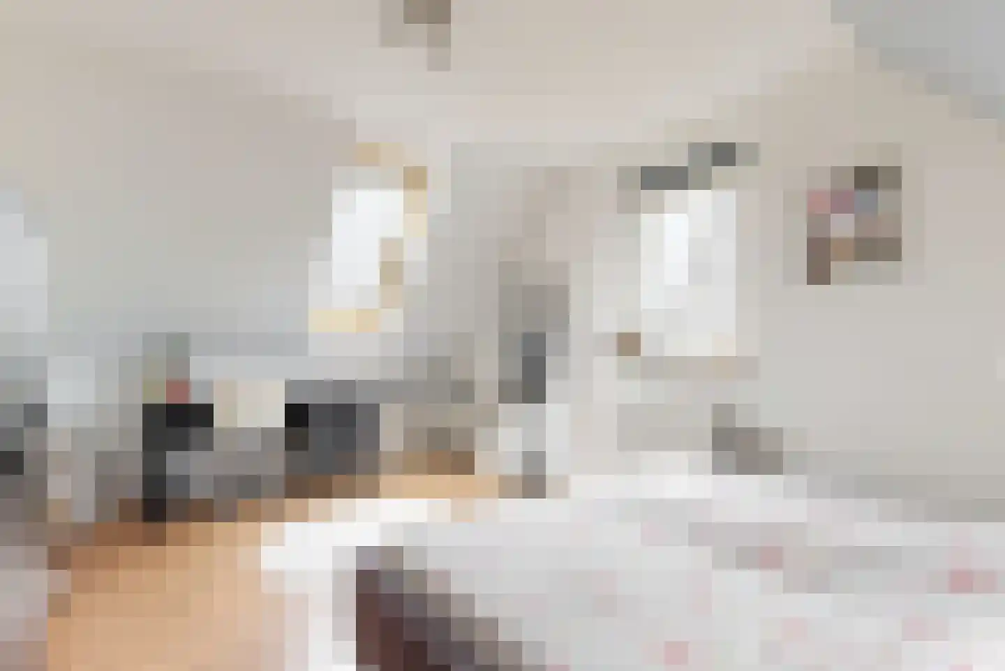 Inlaagdijk 99 Zwaag thumbnail 28