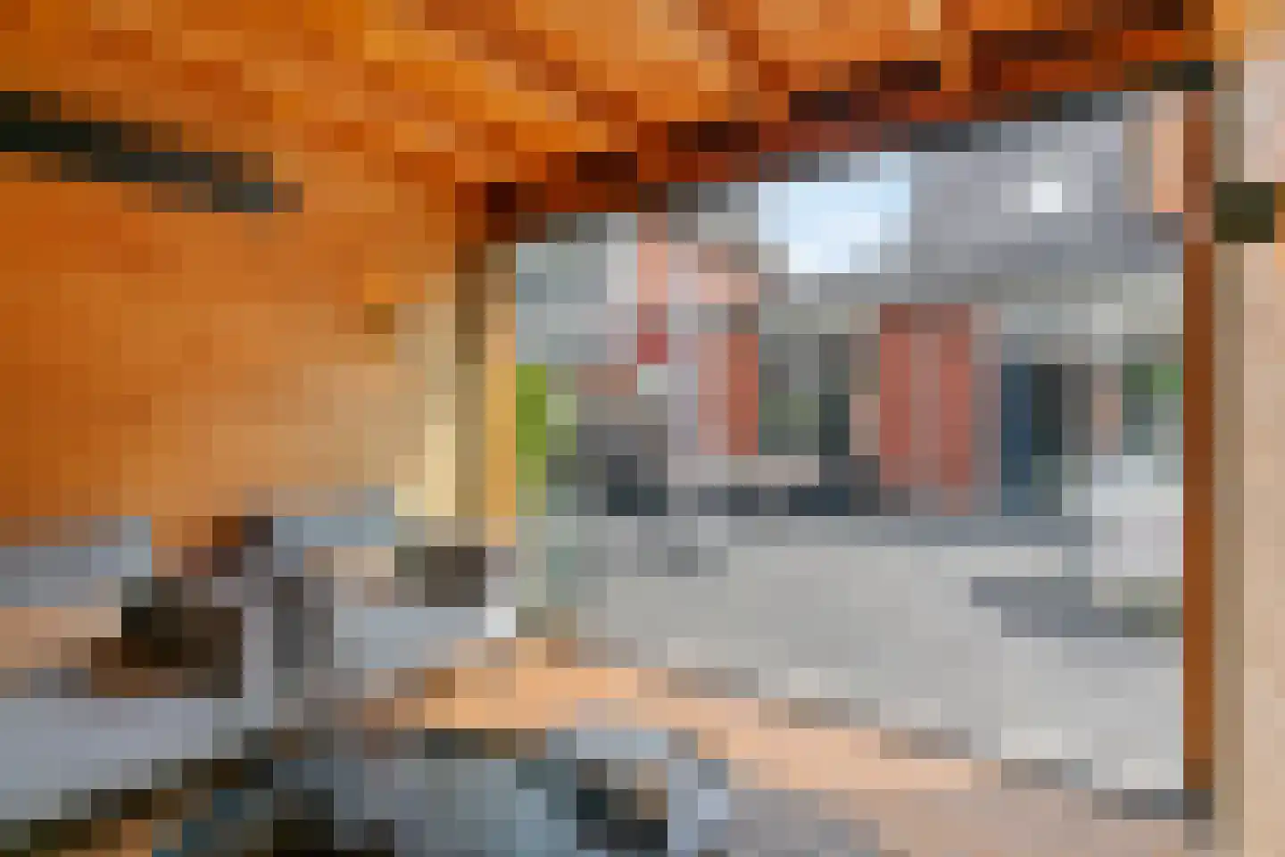 Inlaagdijk 99 Zwaag thumbnail 32