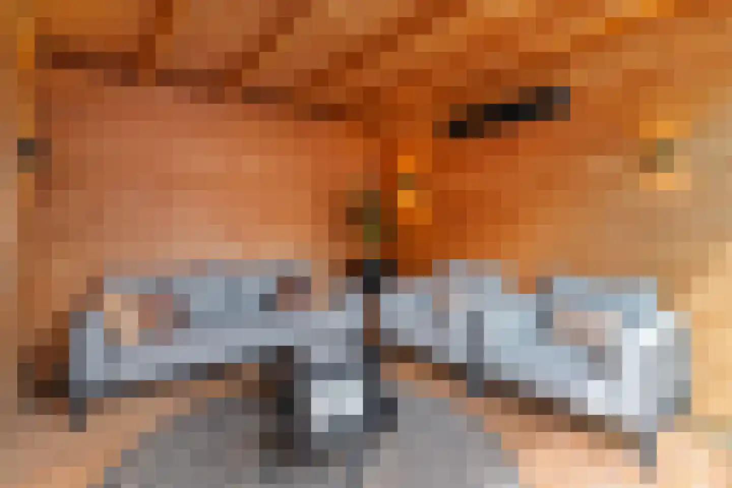 Inlaagdijk 99 Zwaag thumbnail 34