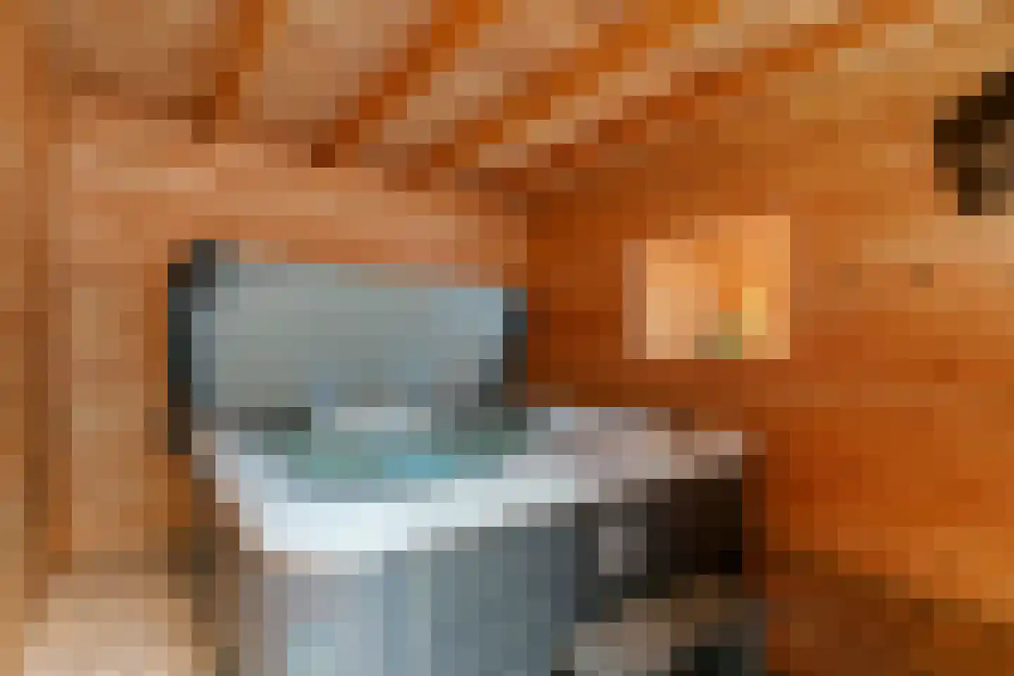 Inlaagdijk 99 Zwaag thumbnail 37