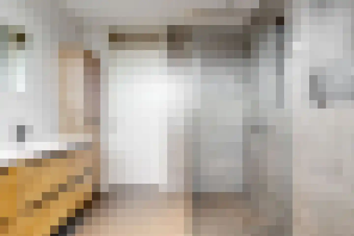 Inlaagdijk 99 Zwaag thumbnail 5