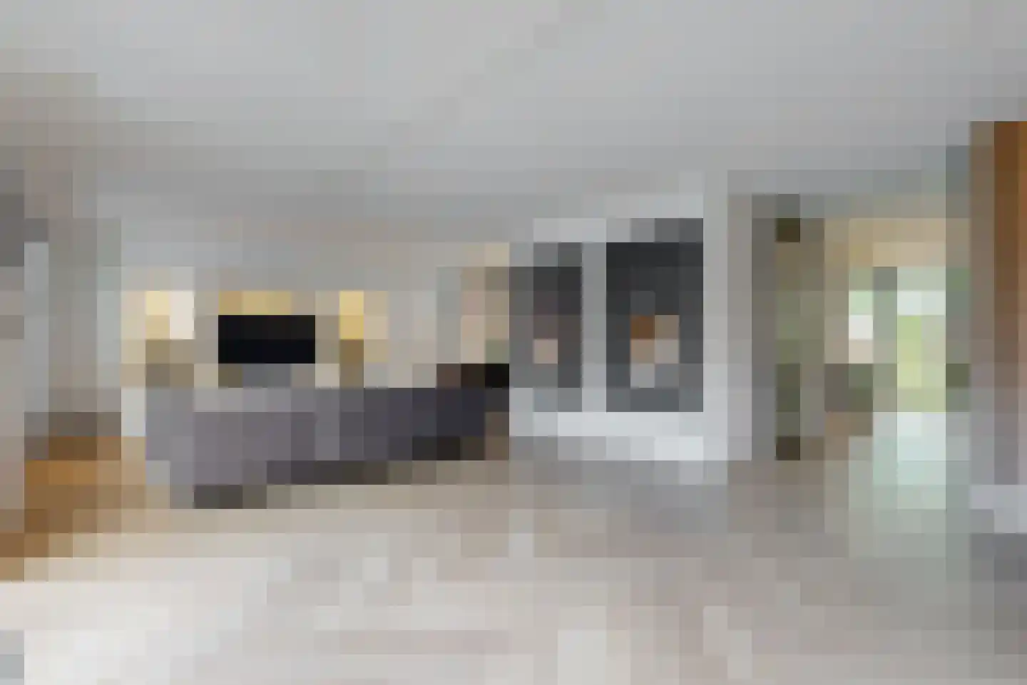 Inlaagdijk 99 Zwaag thumbnail 6