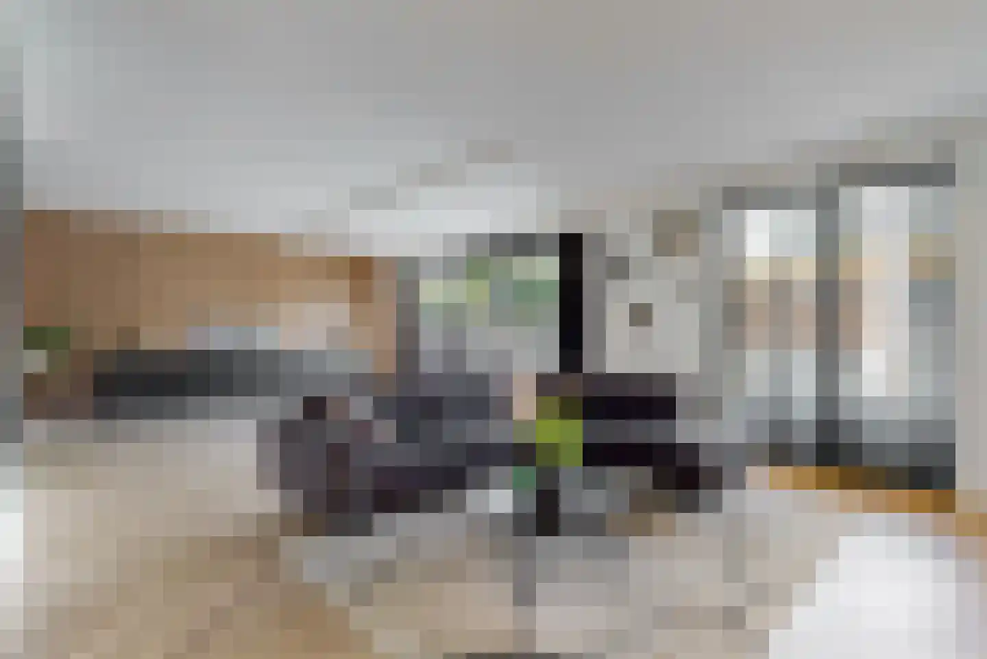 Inlaagdijk 99 Zwaag thumbnail 8