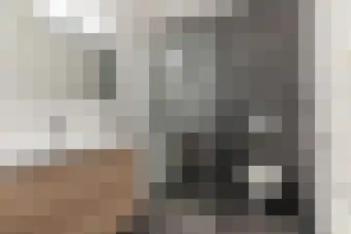 Inlaagstraat 16 Amsterdam thumbnail 9