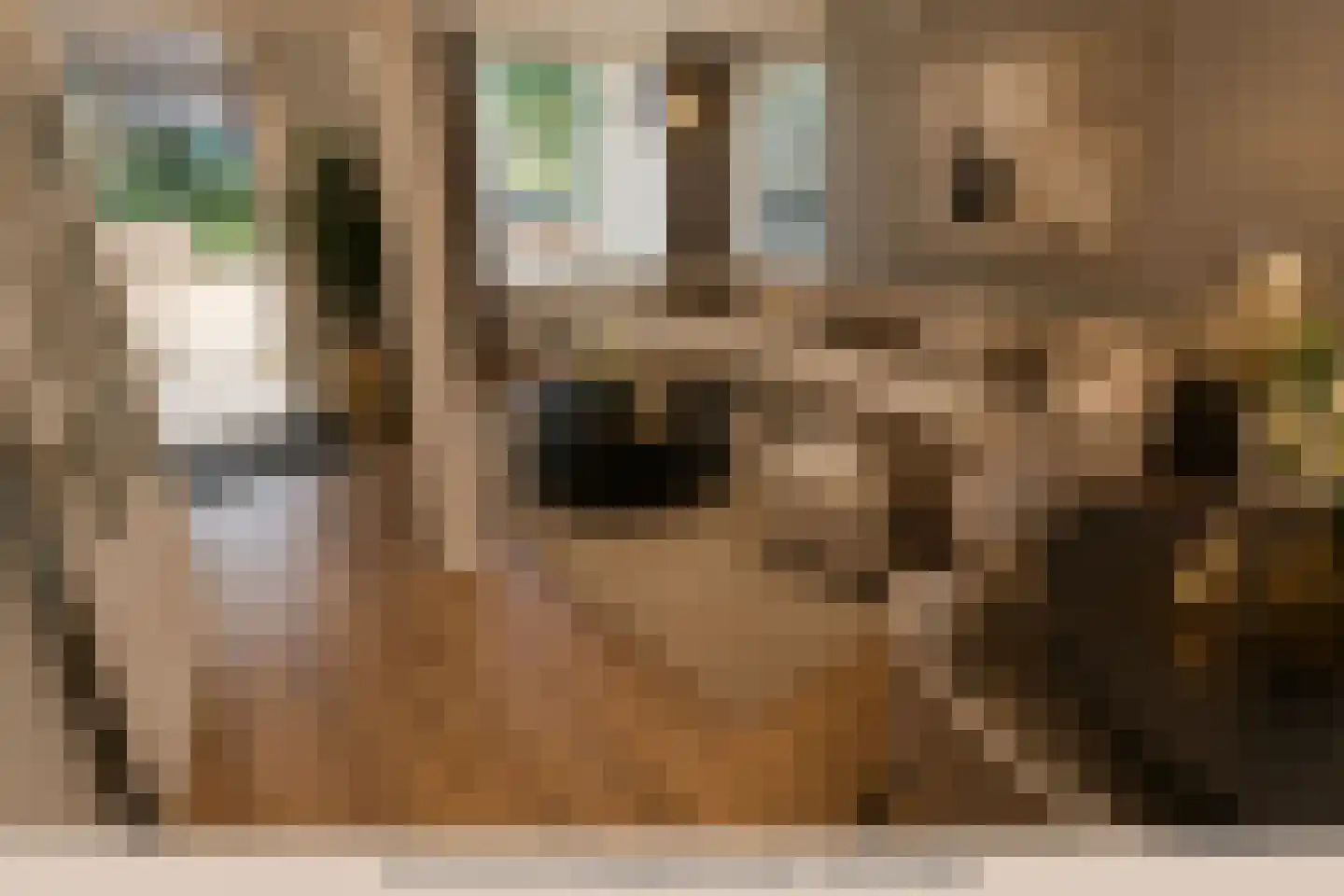 Inlaat 1 Grootebroek thumbnail 13