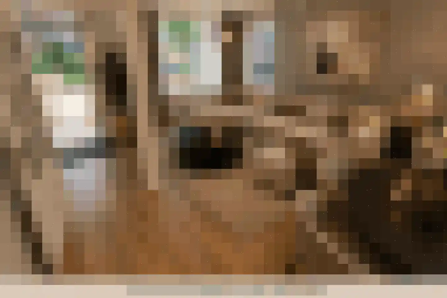 Inlaat 1 Grootebroek thumbnail 13