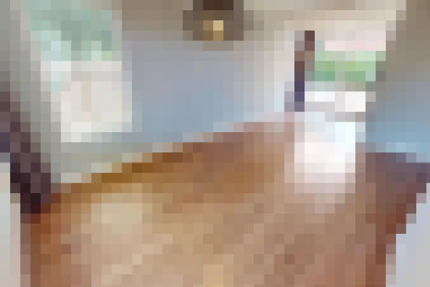 Inlaat 1 Grootebroek thumbnail 14