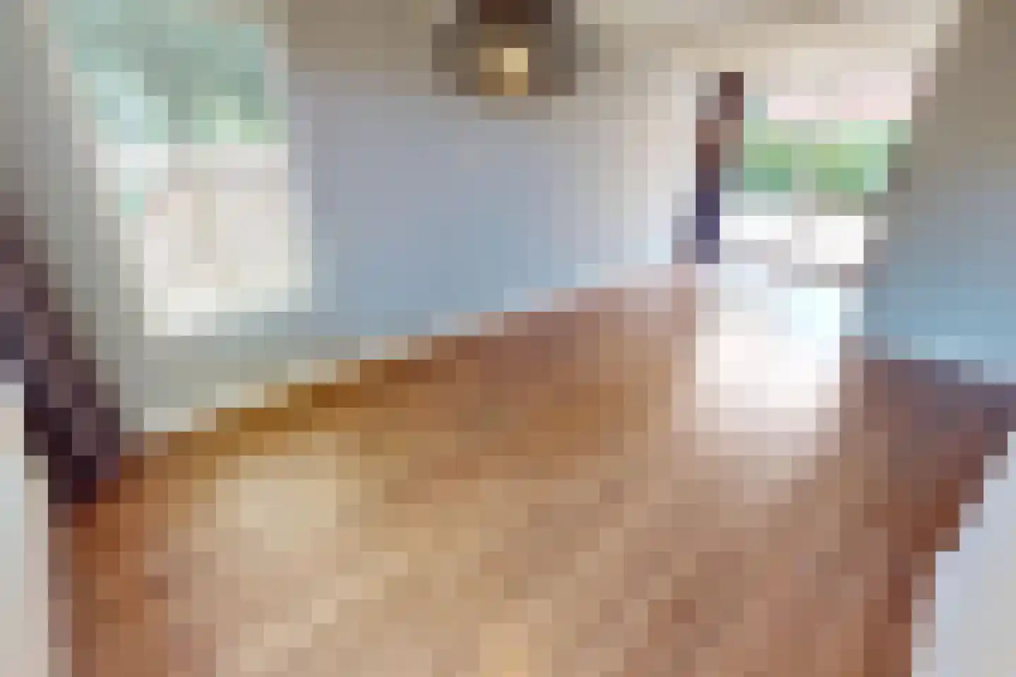 Inlaat 1 Grootebroek thumbnail 14