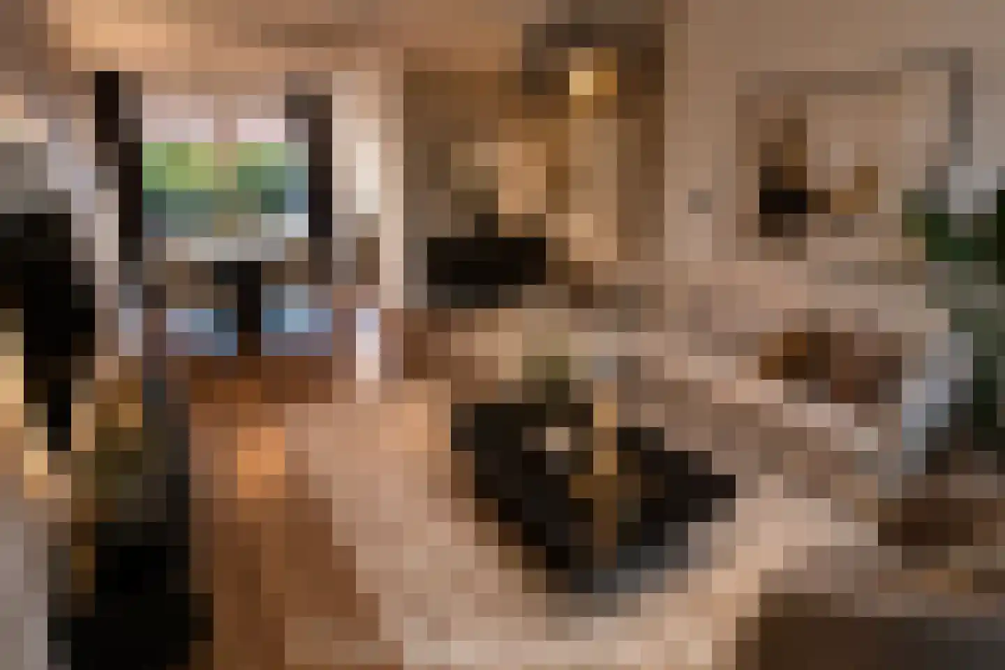 Inlaat 1 Grootebroek thumbnail 17
