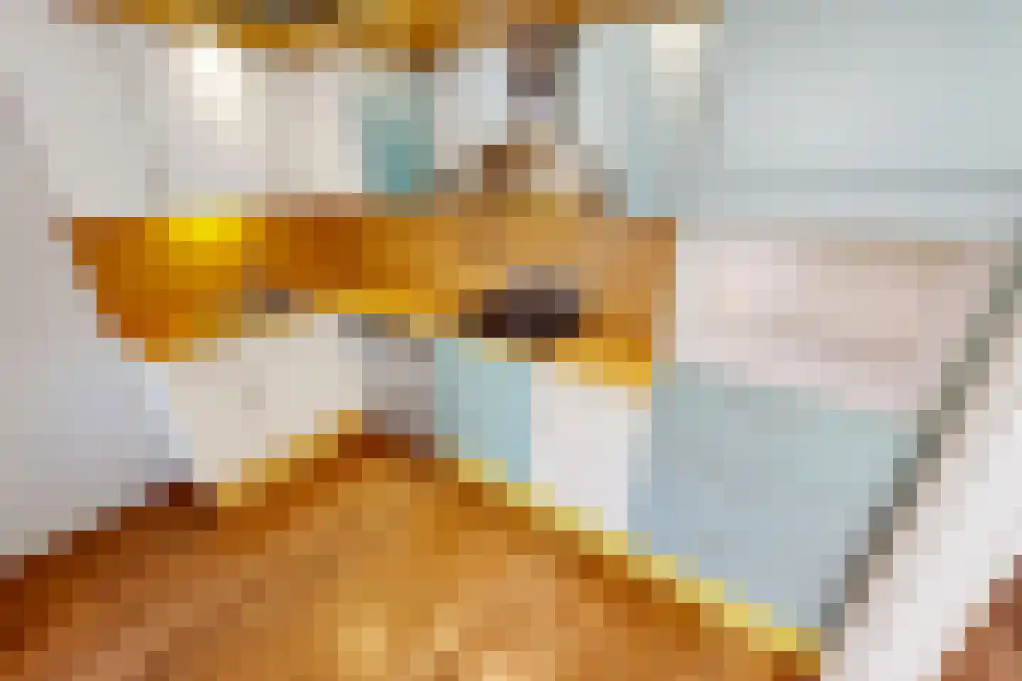 Inlaat 1 Grootebroek thumbnail 20