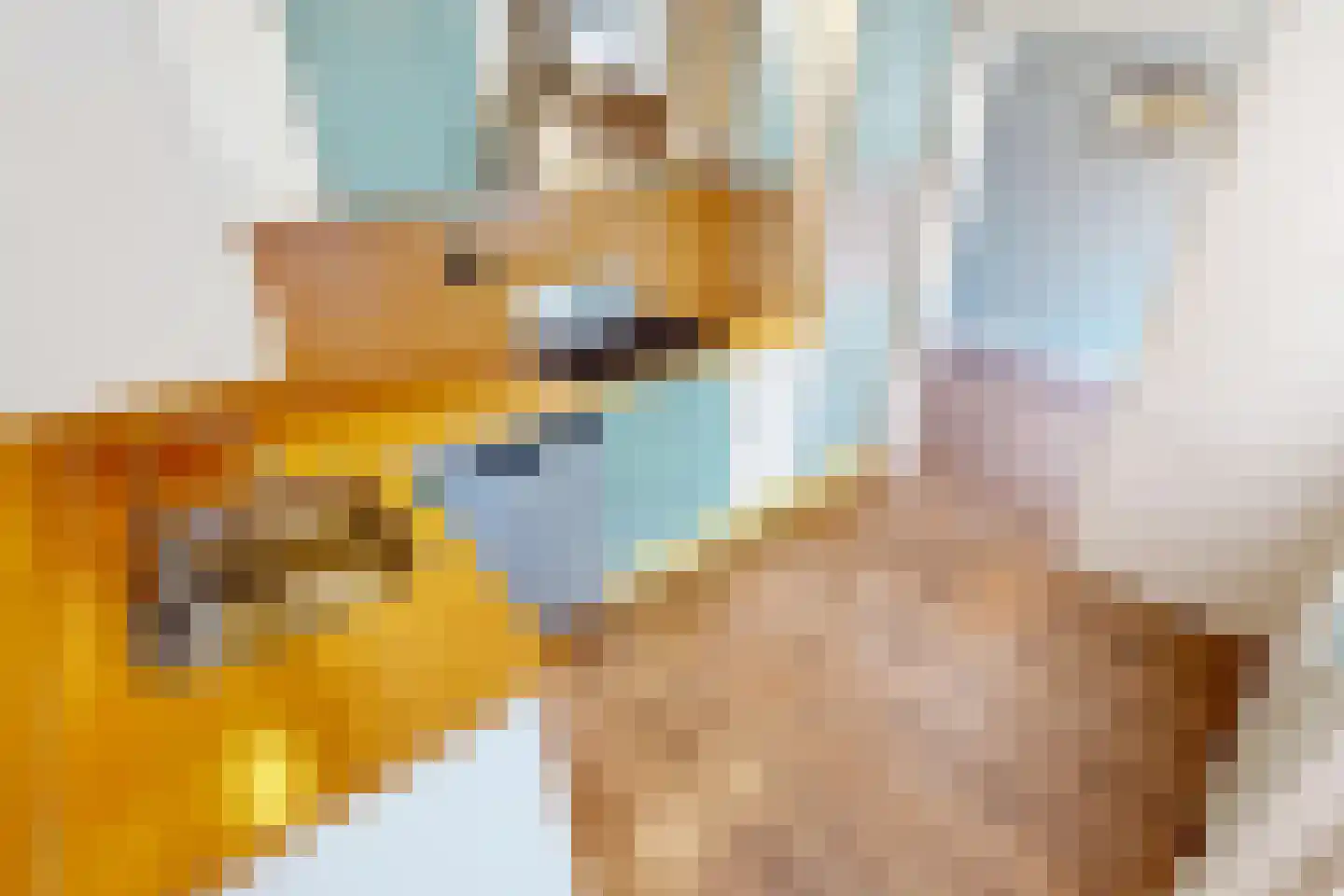 Inlaat 1 Grootebroek thumbnail 22