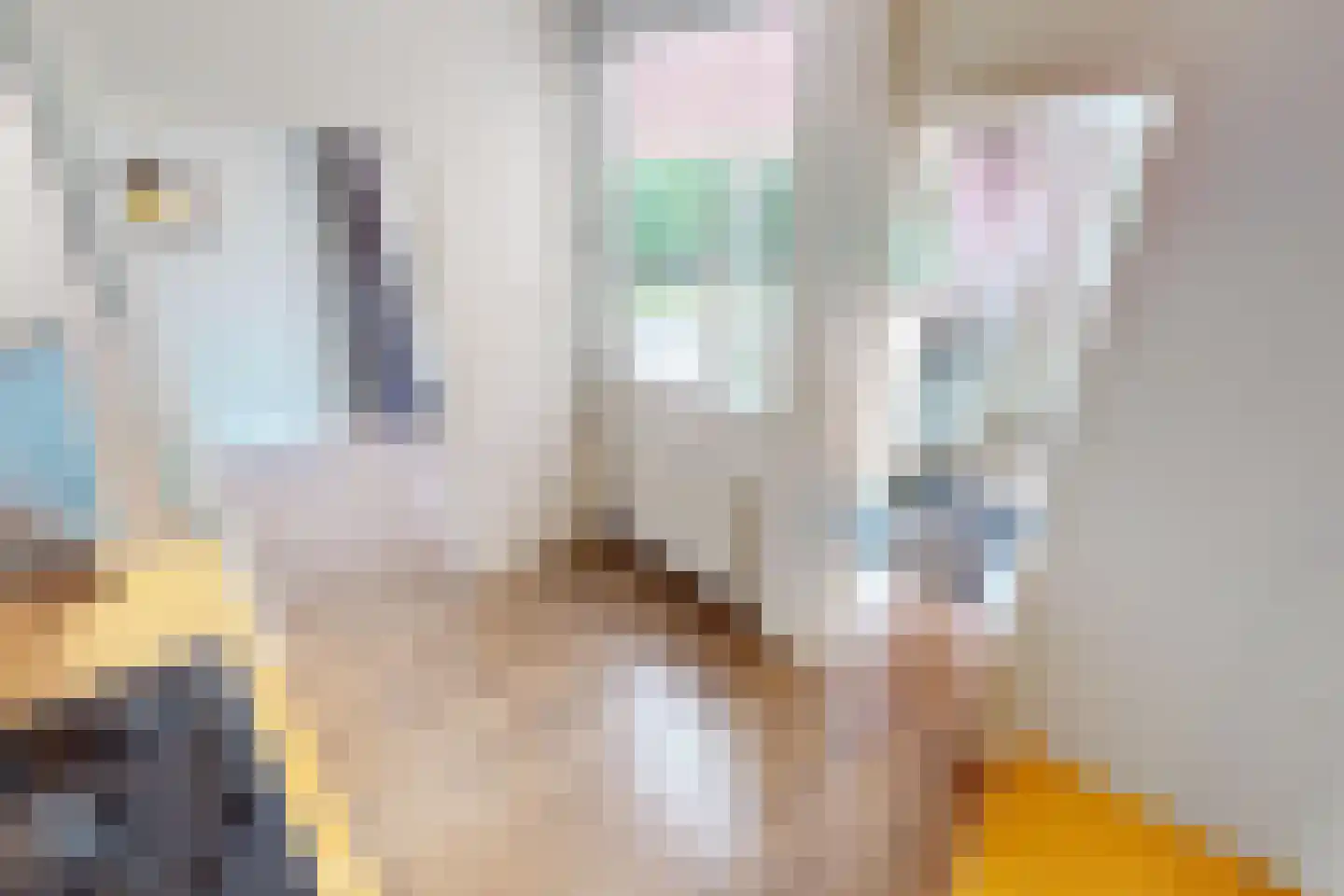 Inlaat 1 Grootebroek thumbnail 23
