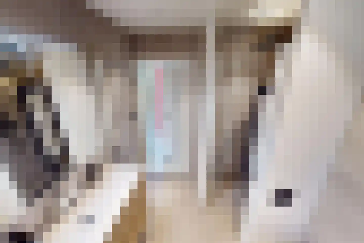 Inlaat 1 Grootebroek thumbnail 53
