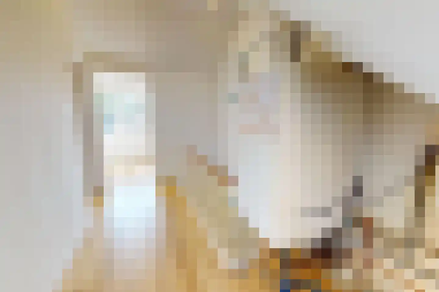 Inlaat 1 Grootebroek thumbnail 55