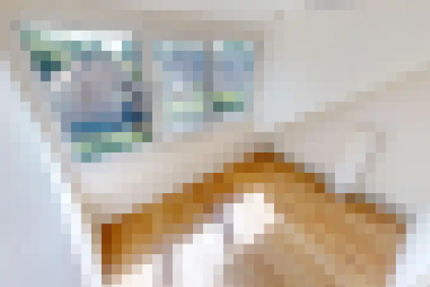 Inlaat 1 Grootebroek thumbnail 57
