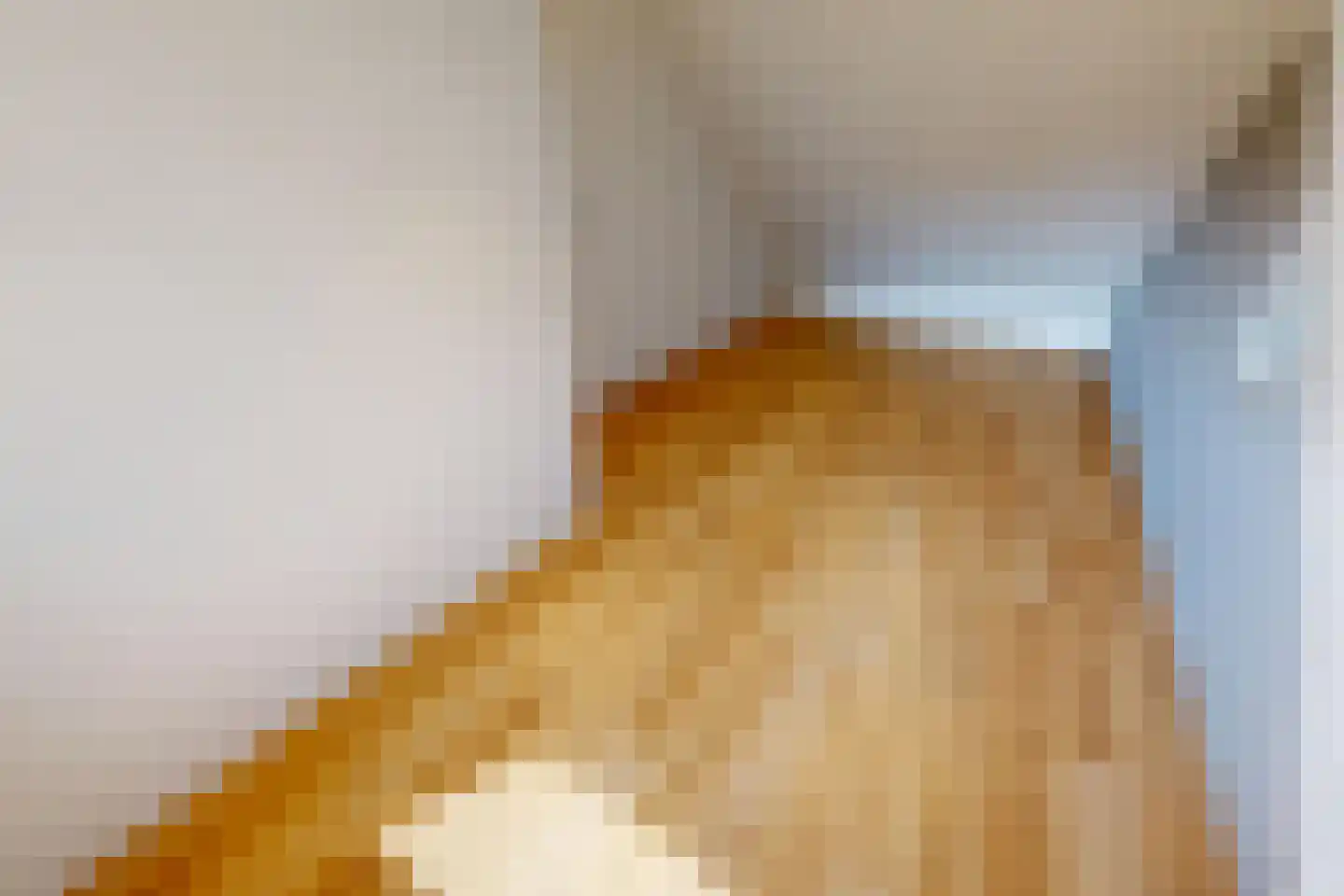 Inlaat 1 Grootebroek thumbnail 64