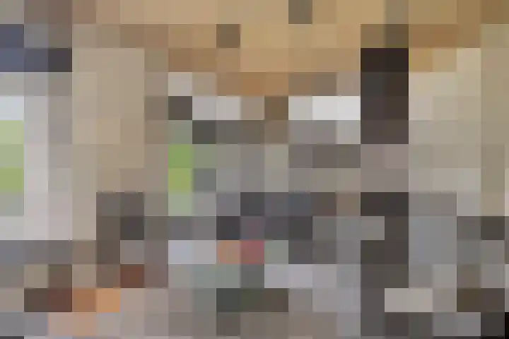 Inleg 4 Boxmeer thumbnail 11