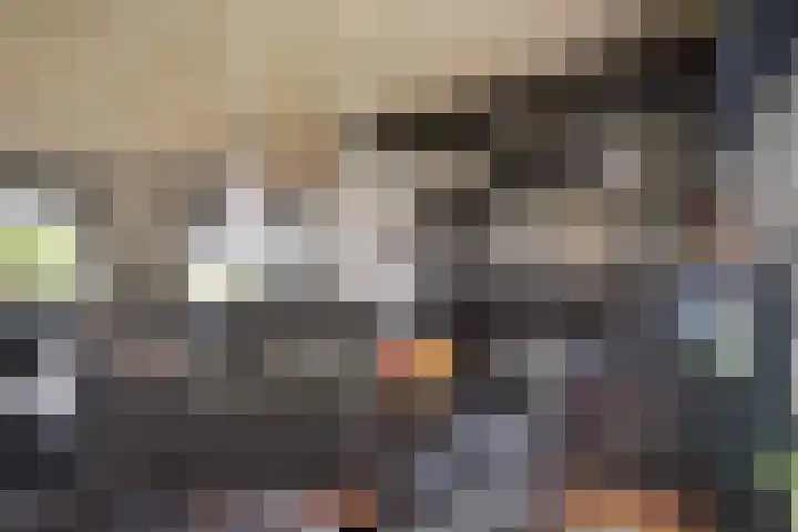 Inleg 4 Boxmeer thumbnail 13