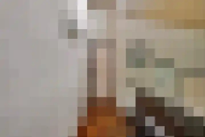 Inleg 4 Boxmeer thumbnail 17