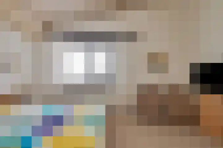 Inleg 4 Boxmeer thumbnail 19