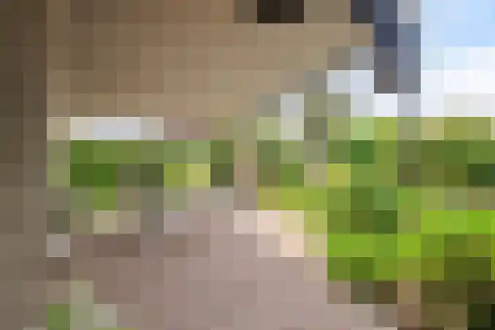 Inleg 4 Boxmeer thumbnail 30