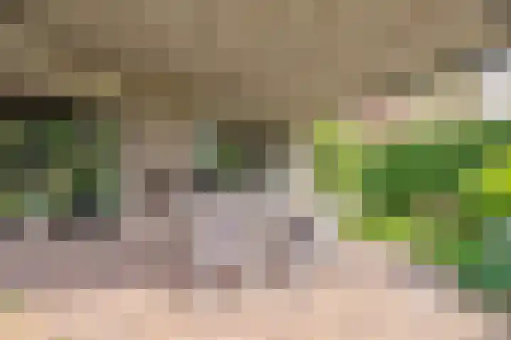 Inleg 4 Boxmeer thumbnail 31