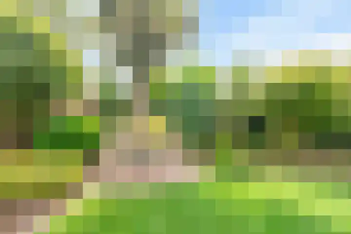 Inleg 4 Boxmeer thumbnail 32