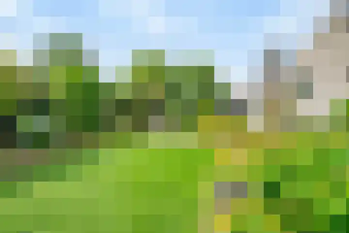 Inleg 4 Boxmeer thumbnail 33