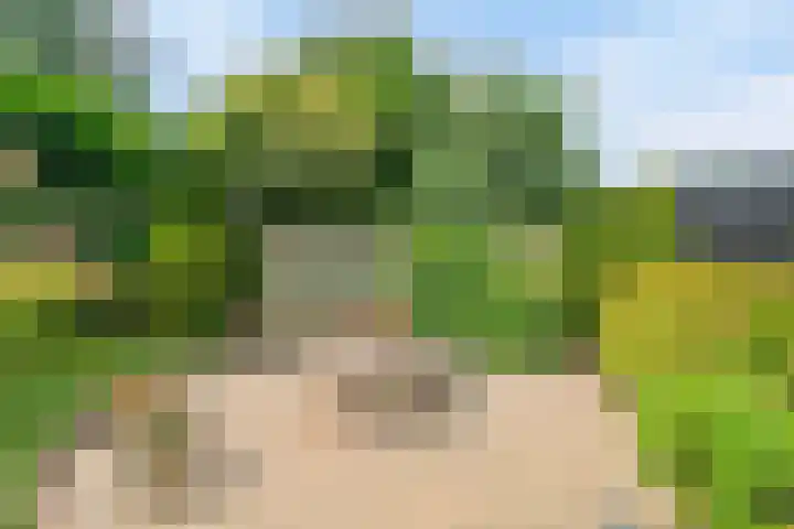 Inleg 4 Boxmeer thumbnail 34