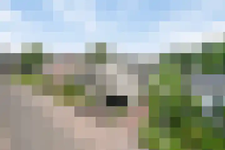 Inleg 4 Boxmeer thumbnail 37