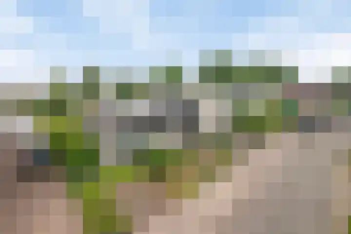 Inleg 4 Boxmeer thumbnail 38