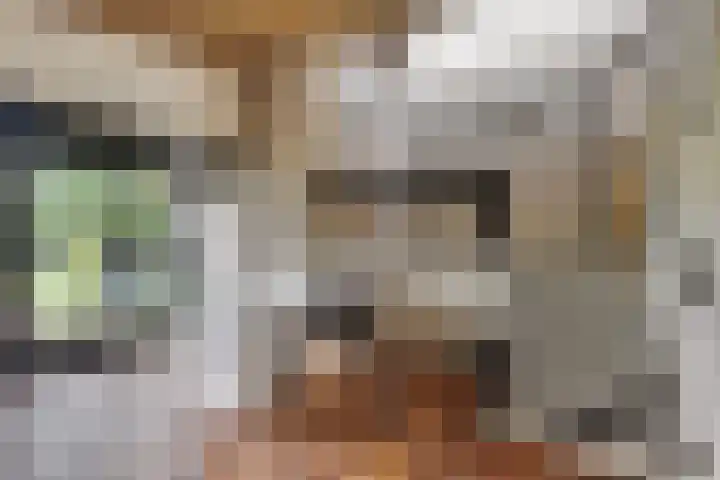Inleg 4 Boxmeer thumbnail 8