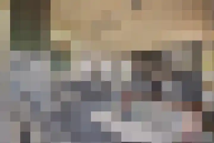 Inleg 4 Boxmeer thumbnail 9