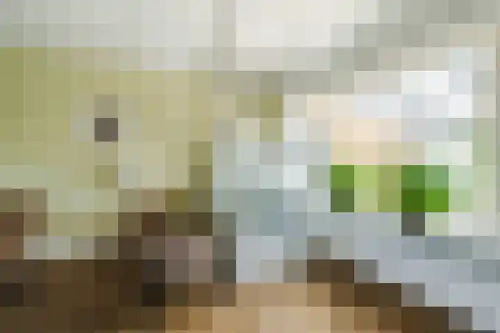 Insingerstraat 25 Soest thumbnail 8