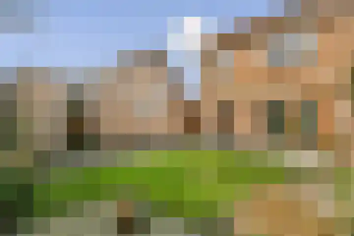 Inslag 34 Laren thumbnail 19