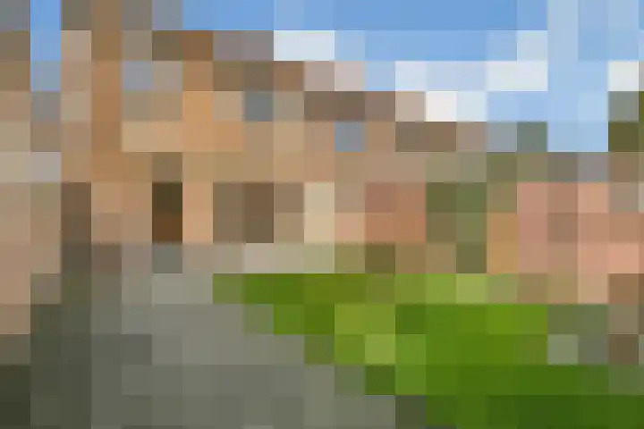 Inslag 34 Laren thumbnail 20