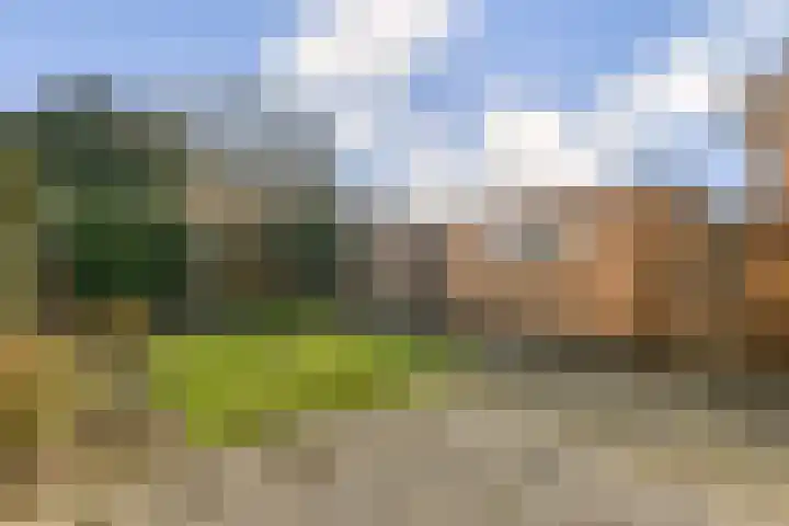Inslag 34 Laren thumbnail 21