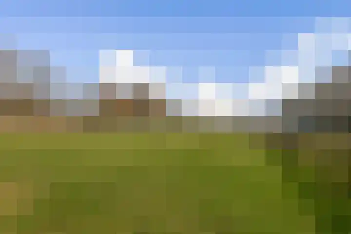 Inslag 34 Laren thumbnail 24