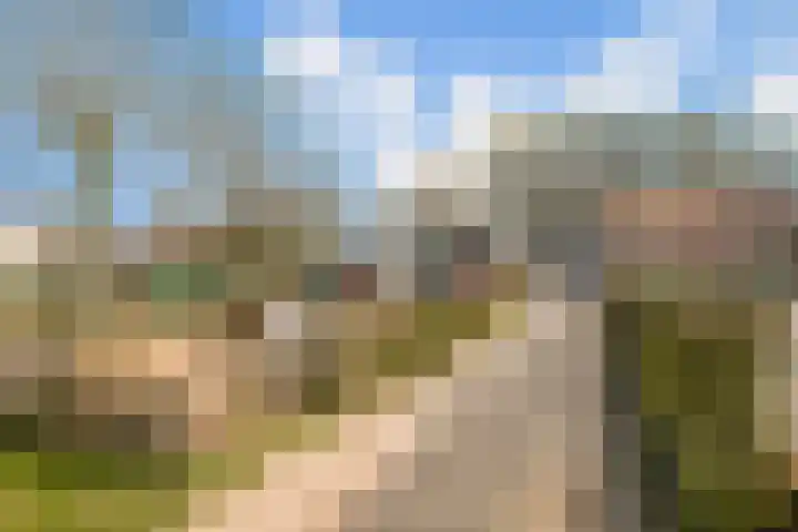 Inslag 34 Laren thumbnail 25
